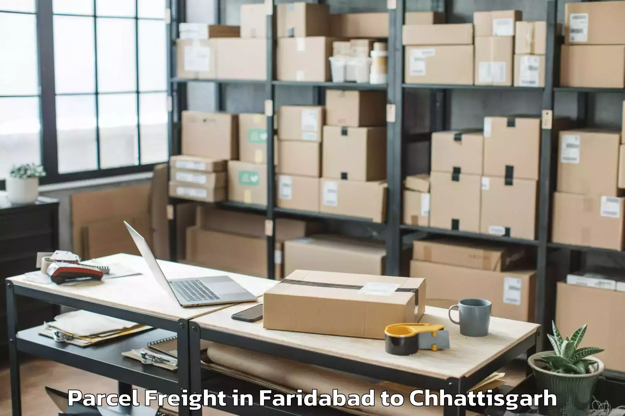 Professional Faridabad to Op Jindal University Raigarh Parcel Freight